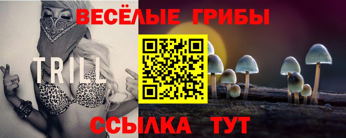 Галлюциногенные грибы GOLDEN TEACHER Домодедово